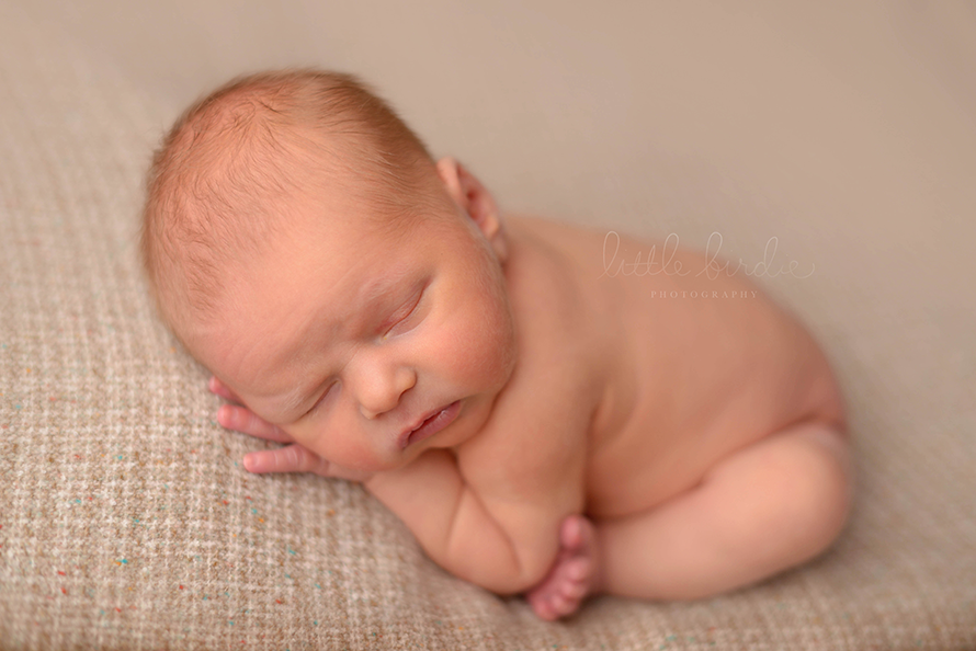 newborn photographer algonquin
