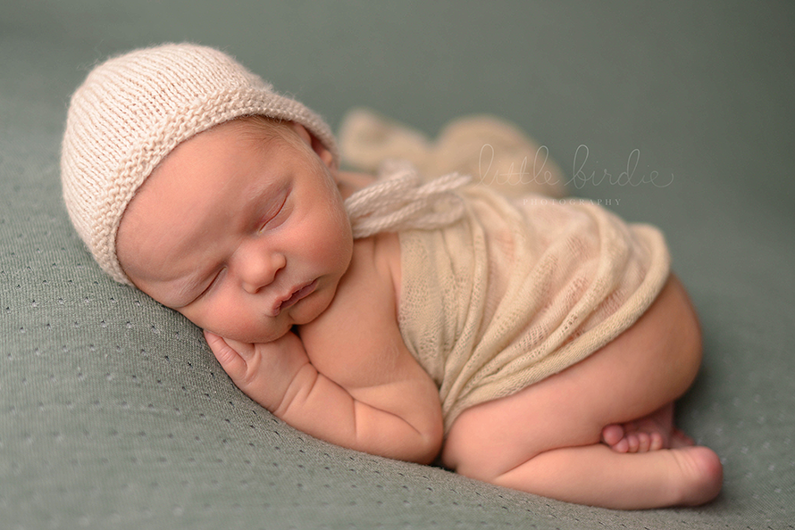 barrington newborn photography